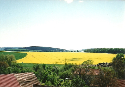Oslava 100. let SDH Mokrá Lhota (5/2001)
