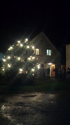 Vánoční strom 2014